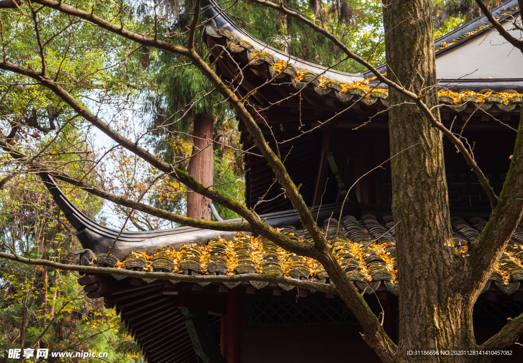灵隐寺