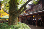 灵隐寺