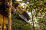 灵隐寺