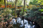 永福禅寺