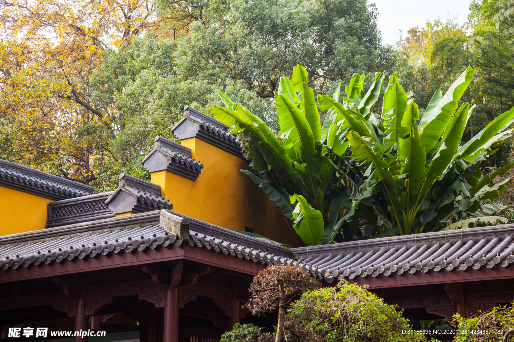 永福禅寺