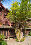 永福禅寺