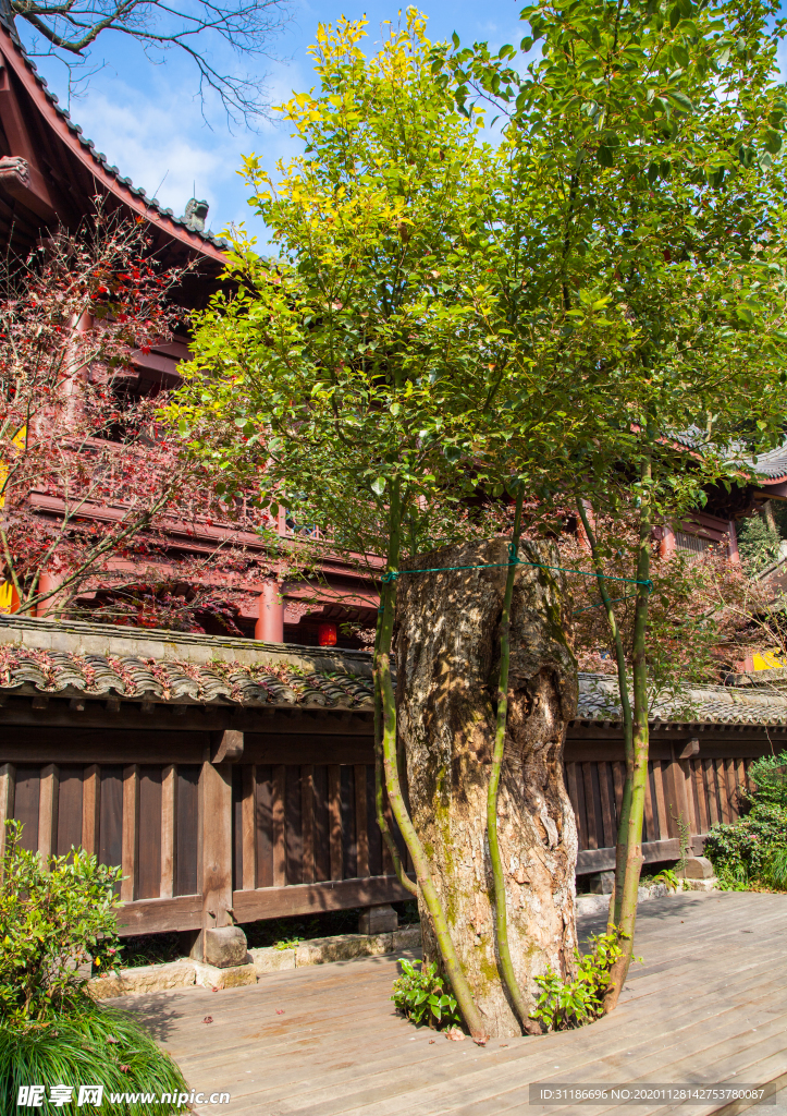 永福禅寺