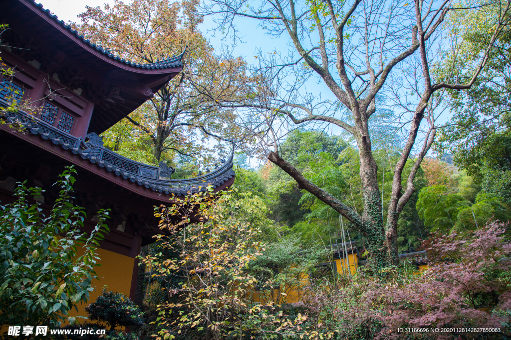 永福禅寺