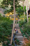 永福禅寺