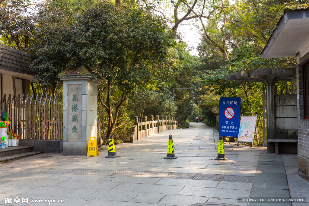 西湖 花港观鱼