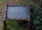 西湖 花港观鱼