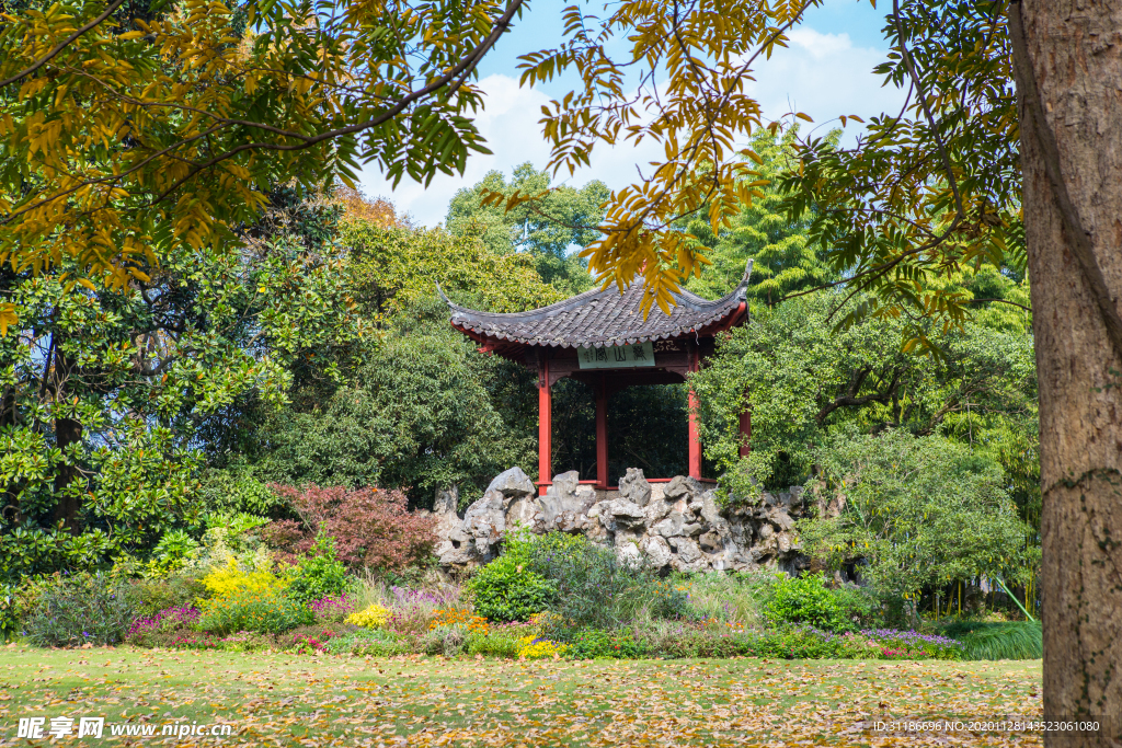 西湖 花港观鱼