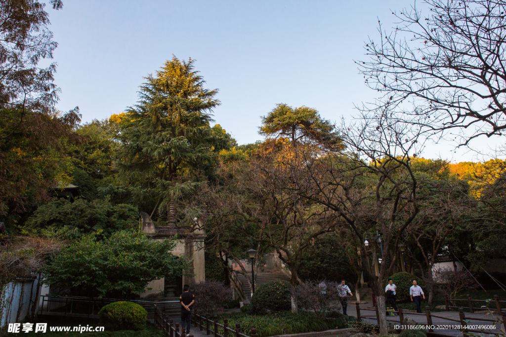 西湖 中山公园