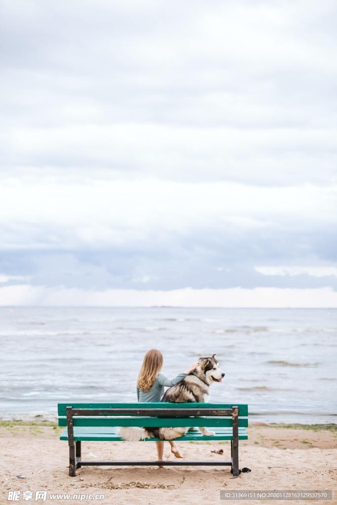 陪伴犬与女性