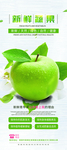 新鲜蔬果
