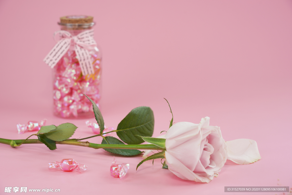 粉色底板玫瑰花摄影图