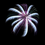 花海报 节日烟花 新年素材 j