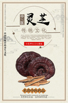中医文化挂图