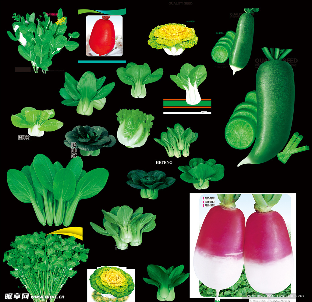 蔬菜种子 平面图