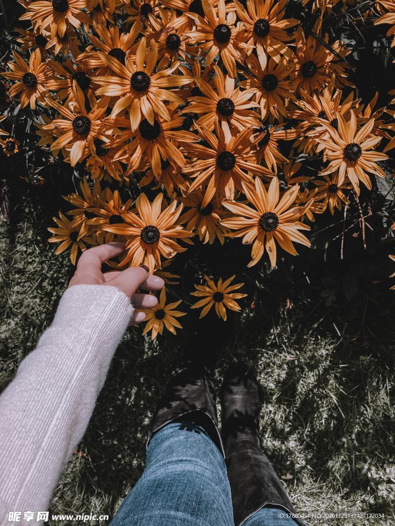 花卉