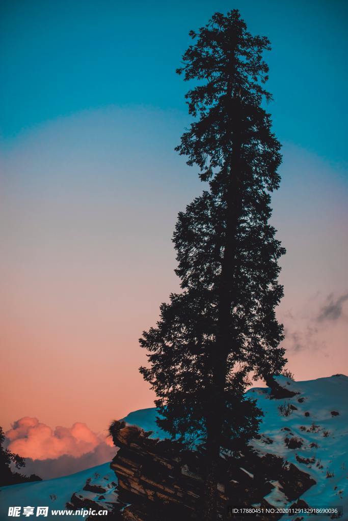 山林