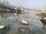 沿河县乌江廊桥