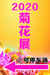 菊花展