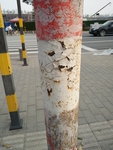 裂纹