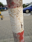 裂纹