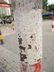 裂纹