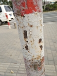 裂纹