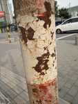 裂纹