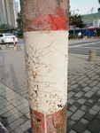 纹理