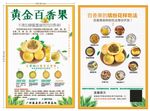 水果百香果宣传单