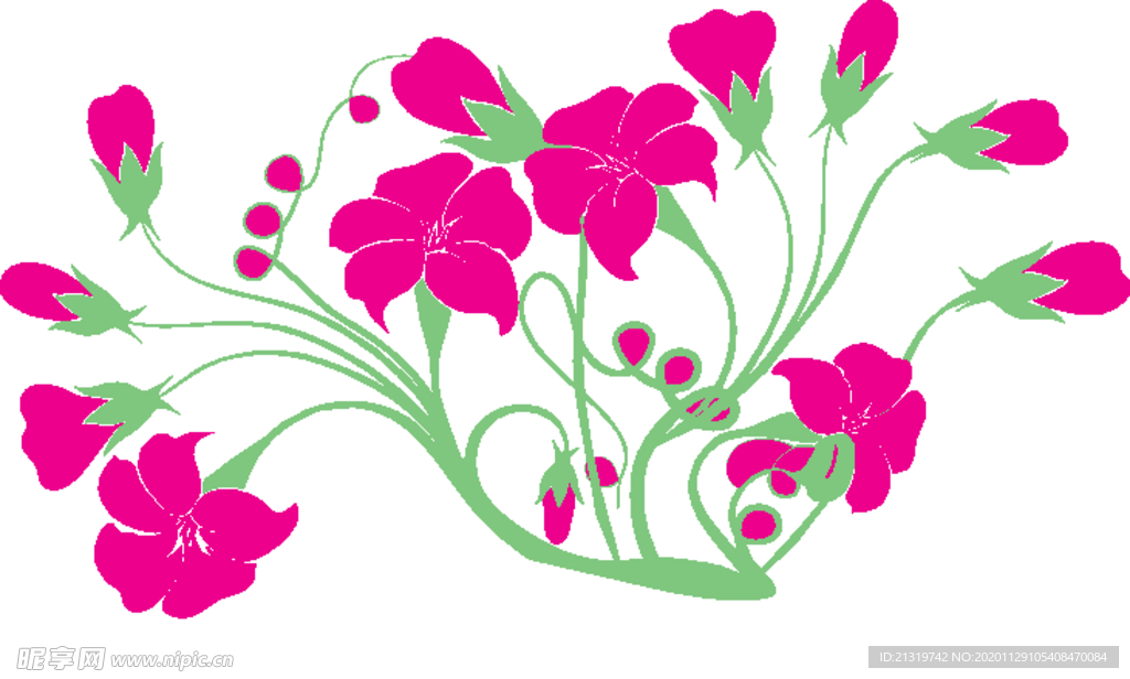 矢量牵牛花插画
