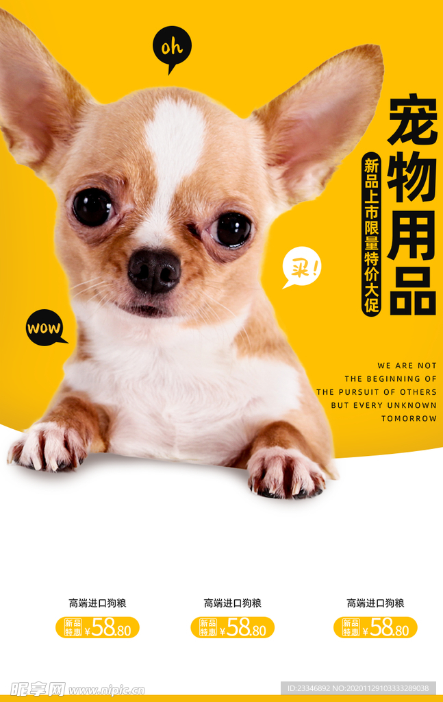 狗狗