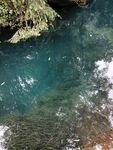 碧水