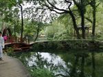 青山绿水