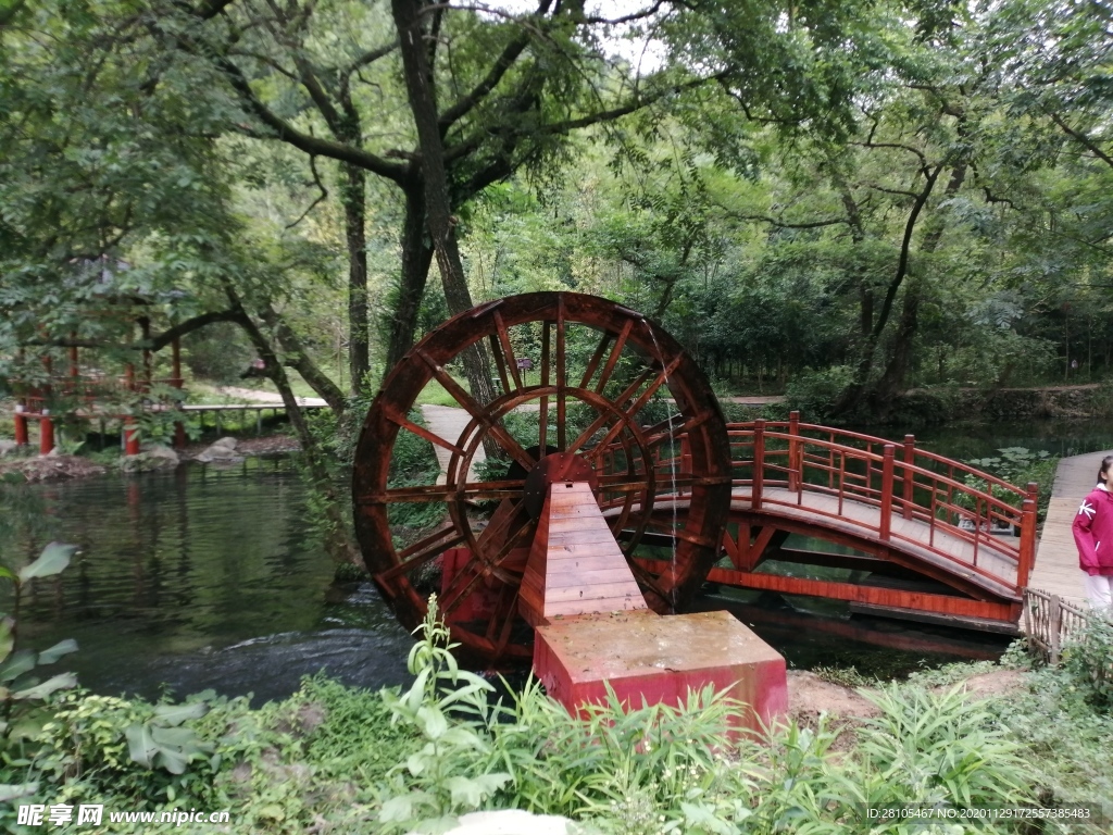 龙井村