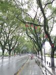 桂林滨江路风景