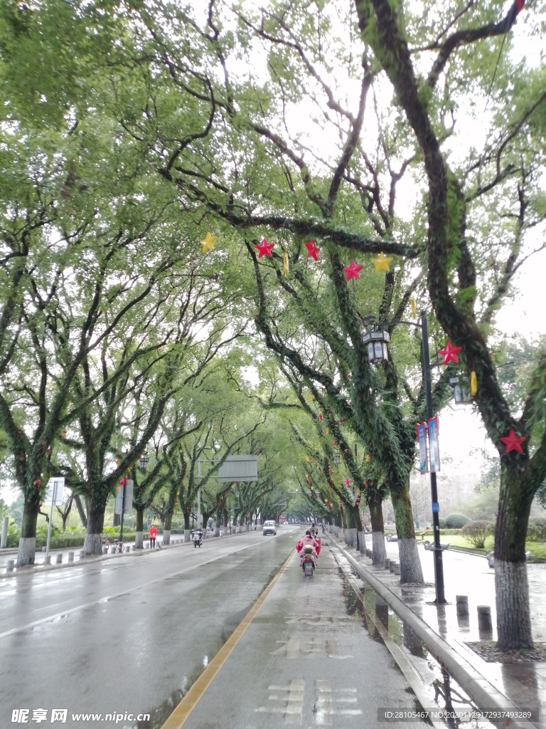 桂林滨江路风景