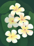 插画素材