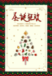 圣诞狂欢促销海报