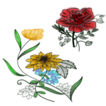 手绘花草线描素材