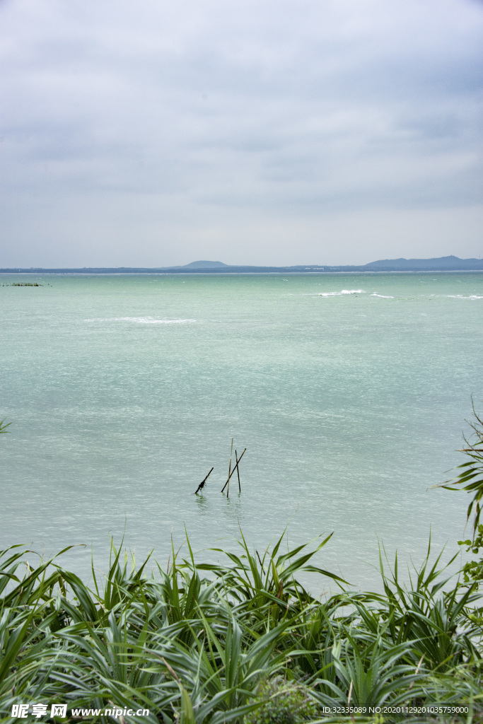 大海