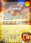 啤酒价格