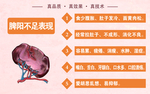 脾脏