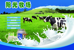 阳光牧场