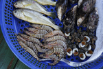 海鲜礼包