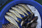 海鲜礼包