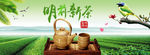 新茶