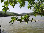 湖水风景