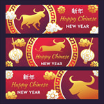 2021新年