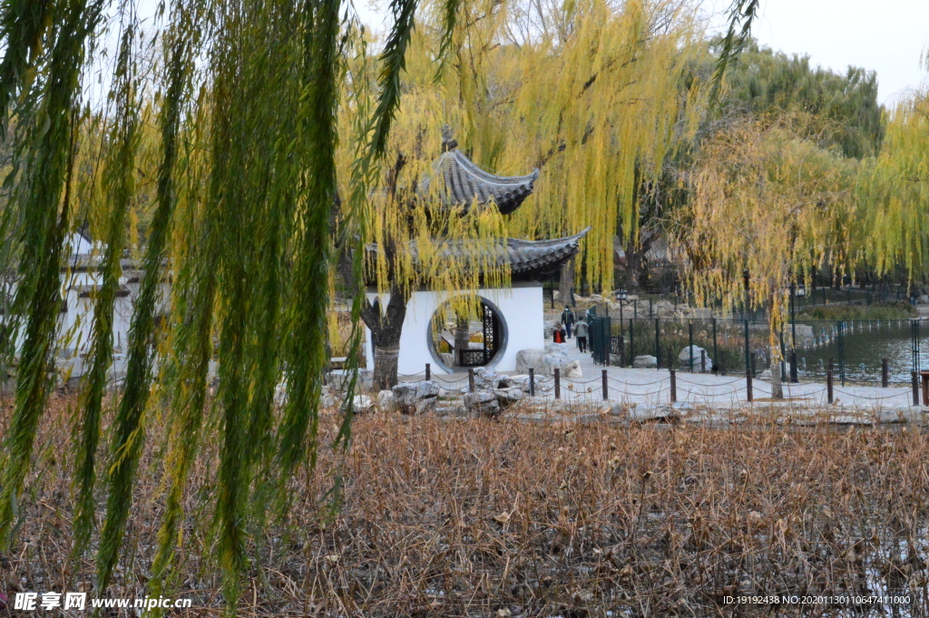 彩叶风景
